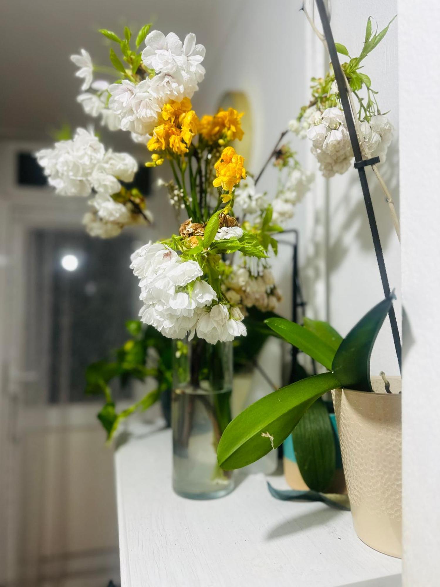 ロンドンBrockmer Houseアパートメント エクステリア 写真